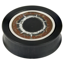 Ebony Plug with Septaria of Morocco (price for pair)