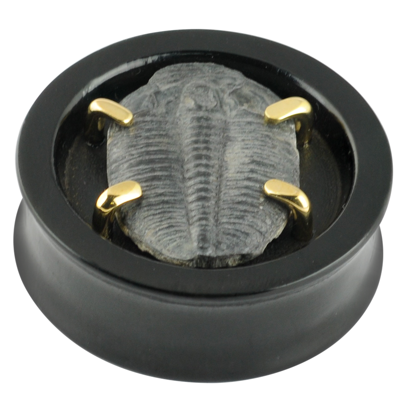 Jet Wood Plug with Fossil Trilobite Setting (Price for Pair) Orecchio