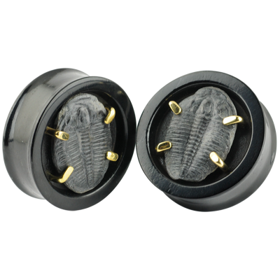 Jet Wood Plug with Fossil Trilobite Setting (Price for Pair) Orecchio