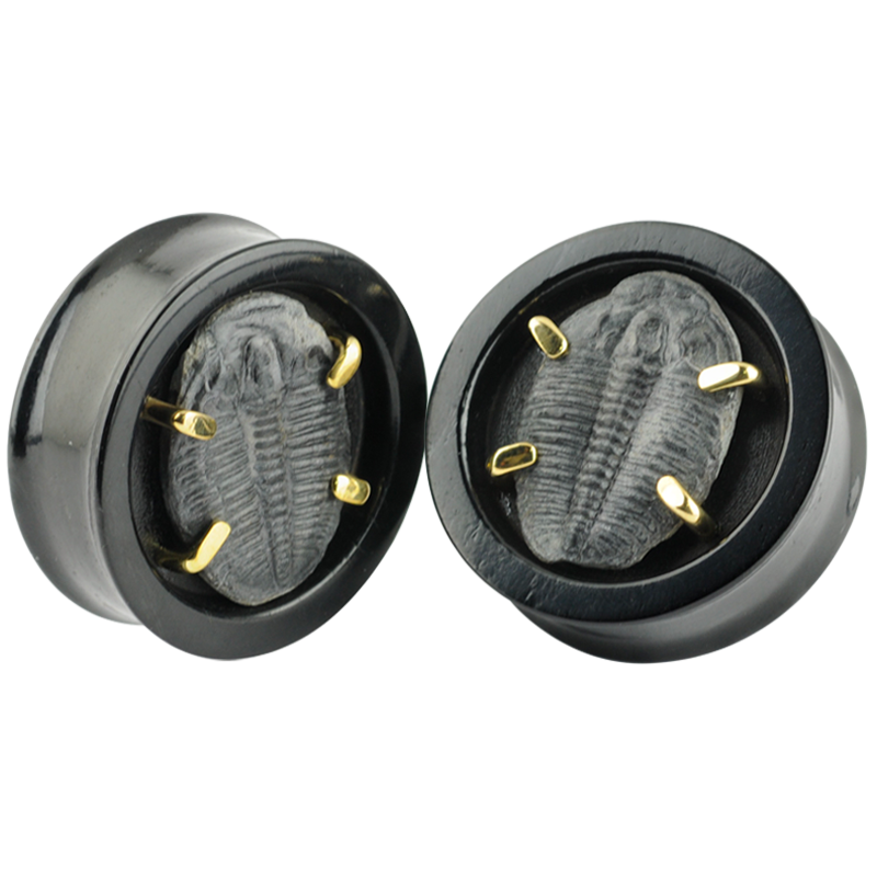 Jet Wood Plug with Fossil Trilobite Setting (Price for Pair) Orecchio
