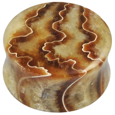 Fossil Ammonite Convex Ear Plug Orecchio