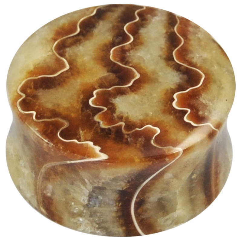 Fossil Ammonite Convex Ear Plug Orecchio