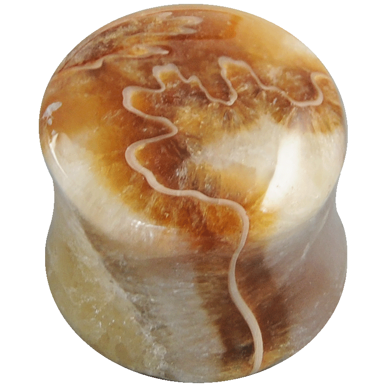 Fossil Ammonite Convex Ear Plug Orecchio