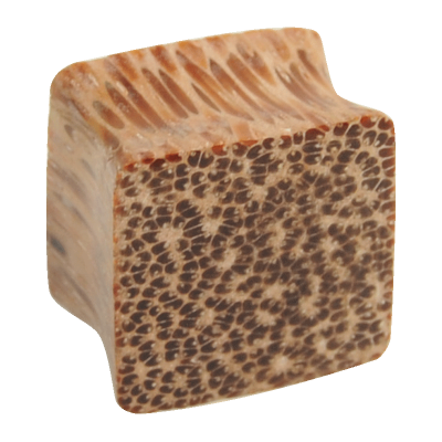 Coconut Wood Square Plug Orecchio