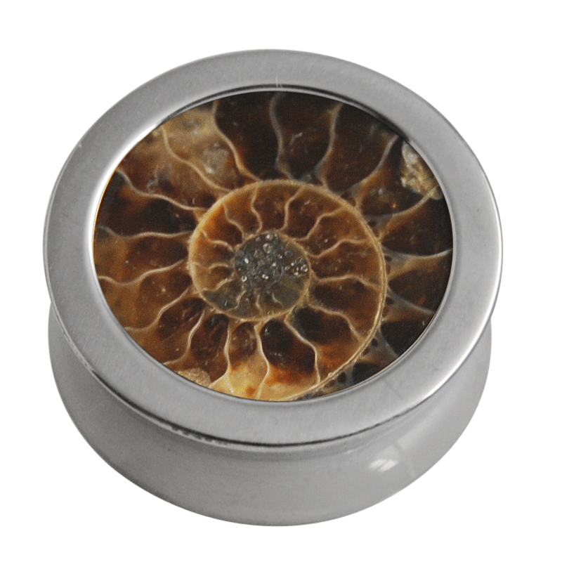 Titanium Plug with Natural Ammonite Orecchio