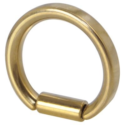 Gold Pvd D Section Ring Narice e Setto