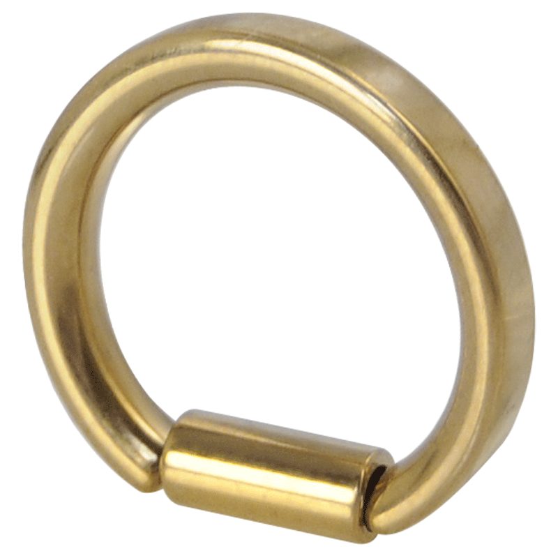 Gold Pvd D Section Ring Narice e Setto