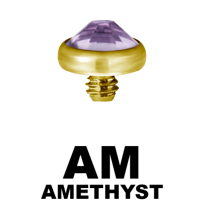 Gold PVD Titanium Jewelled Discs (for 1.6 Internally Threaded Jewellery) Sfere e Componenti