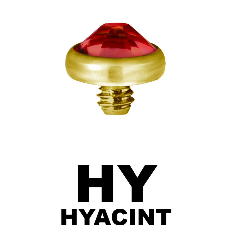 Gold PVD Titanium Jewelled Discs (for 1.6 Internally Threaded Jewellery) Sfere e Componenti