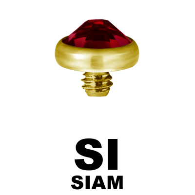 Gold PVD Titanium Jewelled Discs (for 1.6 Internally Threaded Jewellery) Sfere e Componenti