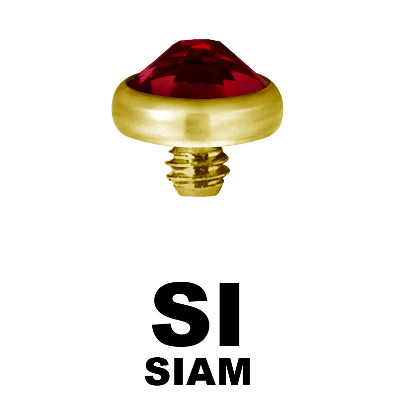 Gold PVD Titanium Jewelled Discs (for 1.6 Internally Threaded Jewellery) Sfere e Componenti